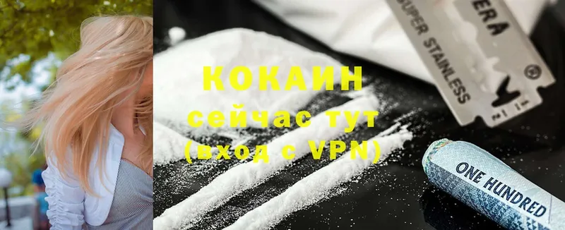 COCAIN VHQ  Пудож 